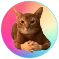 CATWIF-token-logo